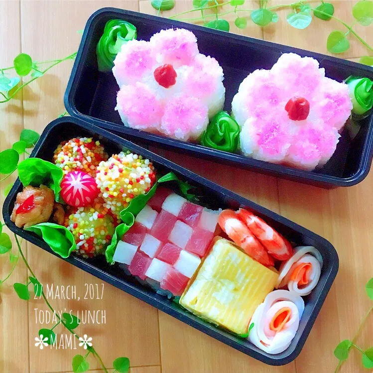 2017.3.27㈪✩もうすぐほんとに春！春！春の桜🎵咲く御弁当～.*･ﾟ　.ﾟ･*.

＊桜型で蕗と筍の甘煮を刻み入れの酢飯に桜でんぷと小梅
＊自家製糠漬け胡瓜
＊ぶぶあられまぶし丸型にしたジャガイモとコーンのバター焼き潰し
＊づけマグロと塩漬け大根市松詰め
＊だし巻き玉子
＊ナンプラー中華焼き海老
＊クルクル巻き大|mamiさん