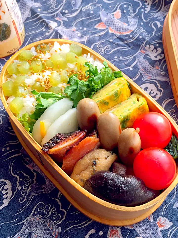 今日のお弁当(⊹＾◡＾)ノo.♡ﾟ｡*
蕗ご飯、柚子大根甘酢漬け、葱入りだし巻き玉子、サーモン幽庵焼き、煮染め、ソーセージ、ほうれん草お浸し、トマト、#お父さん弁当 #ヘルシー料理 #柚子大根 #玉子焼き|Blueberry🫐さん