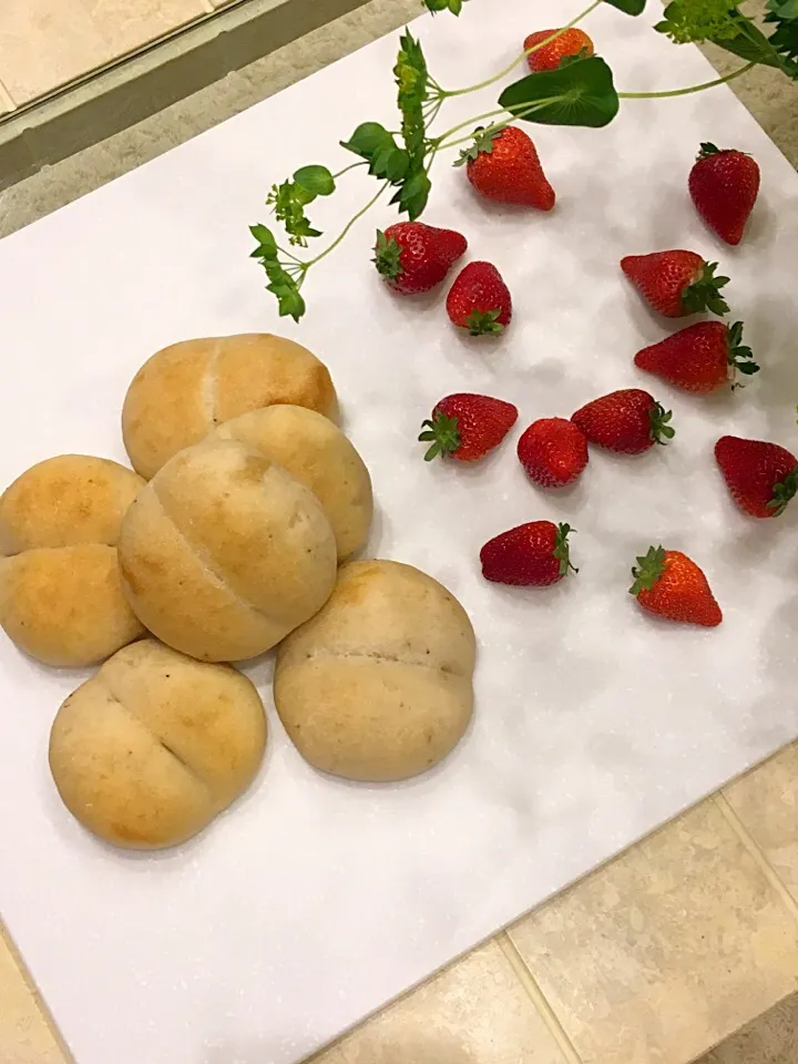 自家製いちご酵母でいちごふたごぱん🍓|REINA✨さん