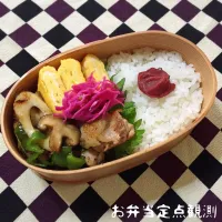 Snapdishの料理写真:お弁当|ぴゃたろうさん