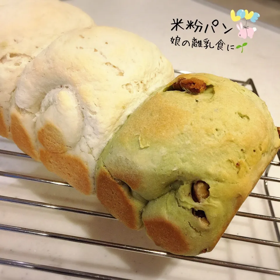 Snapdishの料理写真:😋娘のパンデビュー🌱米粉パン💛|moyukitaさん