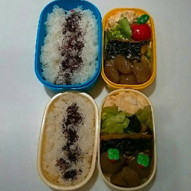 3/29(水)の二人弁当🍱|ふみぃさん