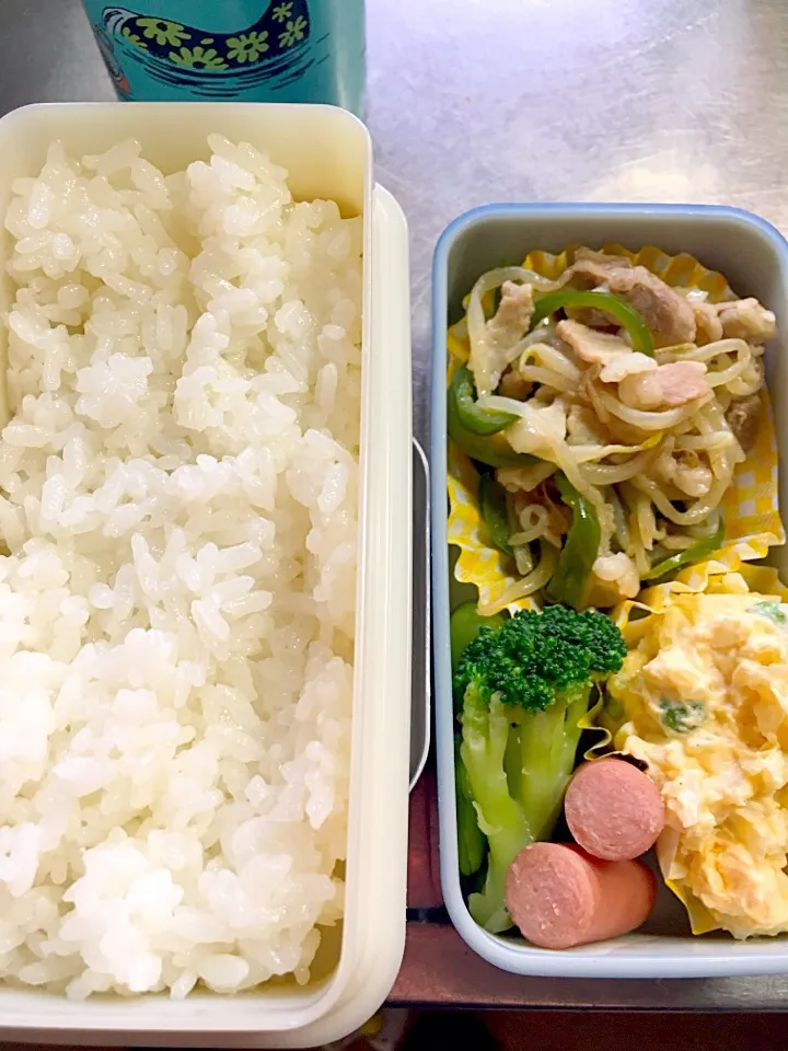 肉野菜炒めと卵サラダ弁当|ももねえさん