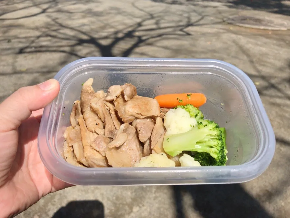 肉弁当|るうこさん