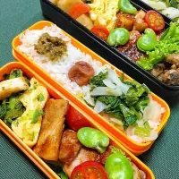 Snapdishの料理写真:今日のお弁当|鯨井 真由美さん