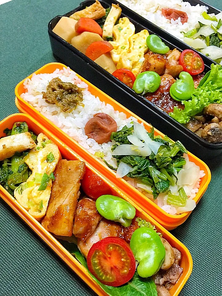 今日のお弁当|鯨井 真由美さん