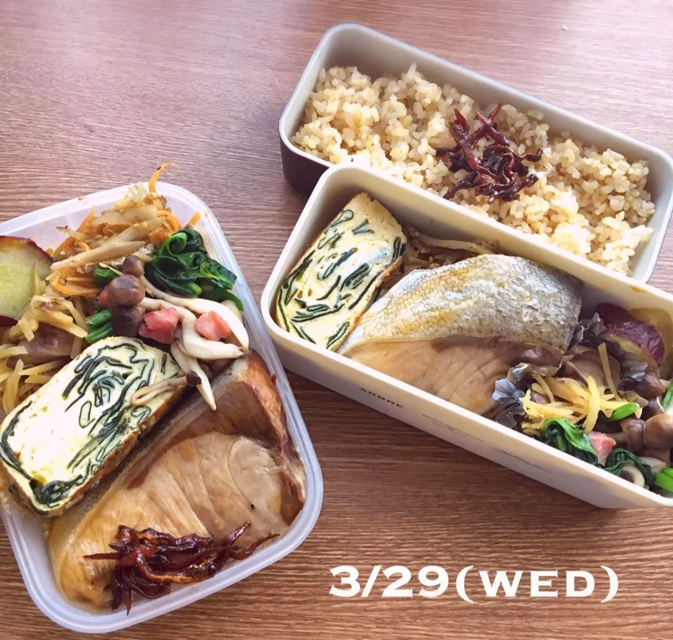 3/29 お弁当|もっちさん