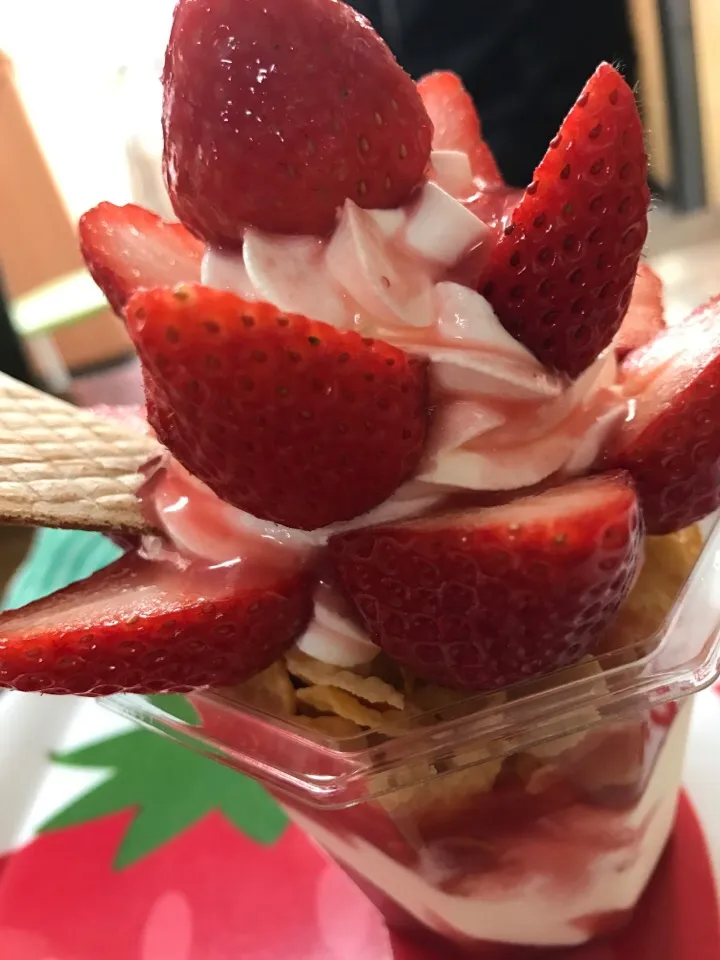 Snapdishの料理写真:豊島の、いちご家のいちごいっぱいパフェ😍😍生クリームもそんな甘くなく、すごく食べやすかったです！！|柏原智さん