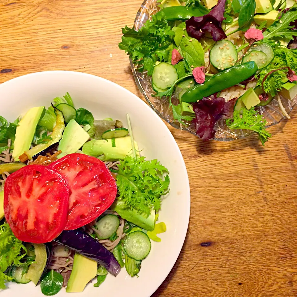 vegan グルテンフリー シュガーフリー
蕎麦サラダ
サラダちらし🥗|makiko_aさん