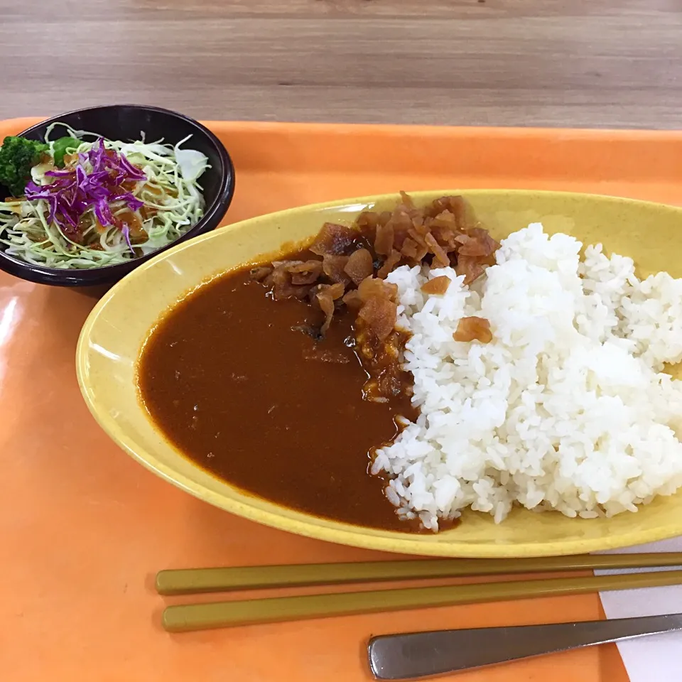 ポークカレー🍛*\(^o^)/*|すかラインさん