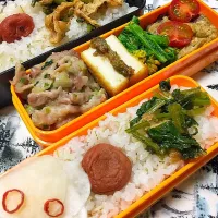 Snapdishの料理写真:【今日のお弁当】|鯨井 真由美さん