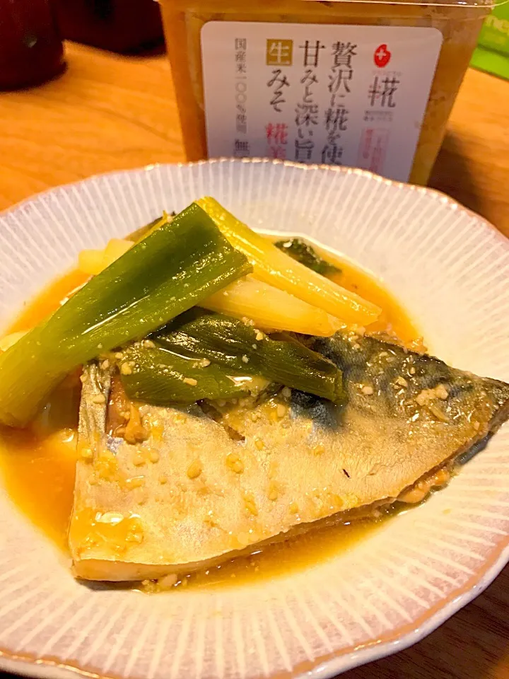 生みそ 糀美人で鯖の味噌煮＊|やぁさん