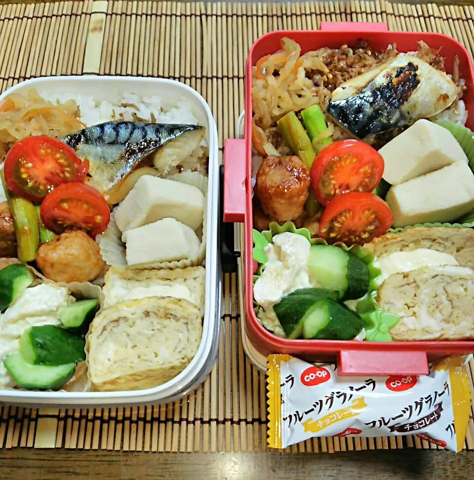 娘、私弁当🍱
   塩さば～|miimiさん