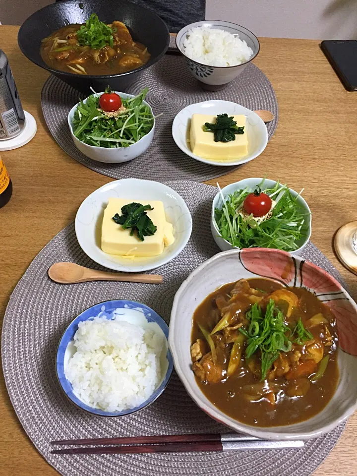 今日の晩御飯
寝かせたカレーでカレーうどん・卵豆腐・サラダ|2493さん