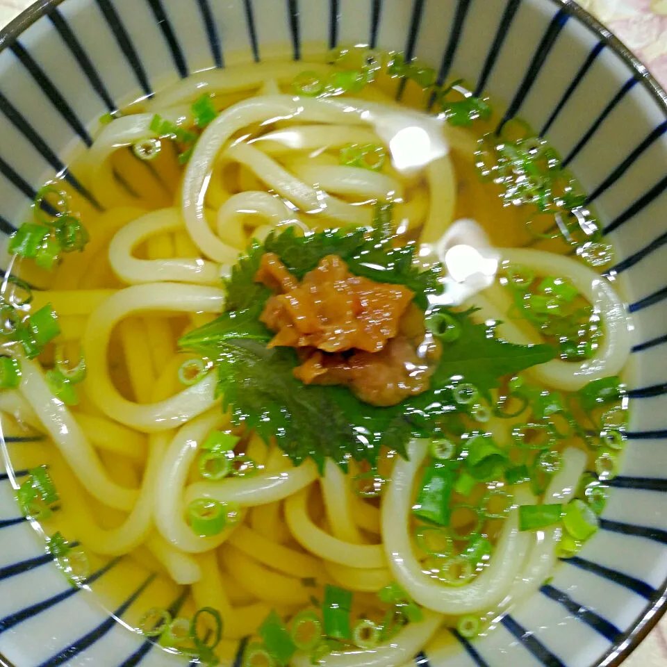 昨日の残りの梅と大葉を使って
　　　　　梅しそうどん|たえさん