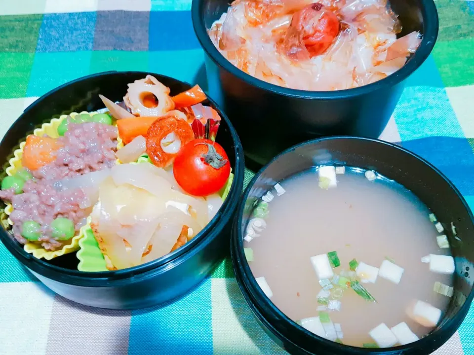 Snapdishの料理写真:お弁当。大根のそぼろあんかけと豆腐玉ねぎバターときんぴらとお味噌汁。|エリカさん