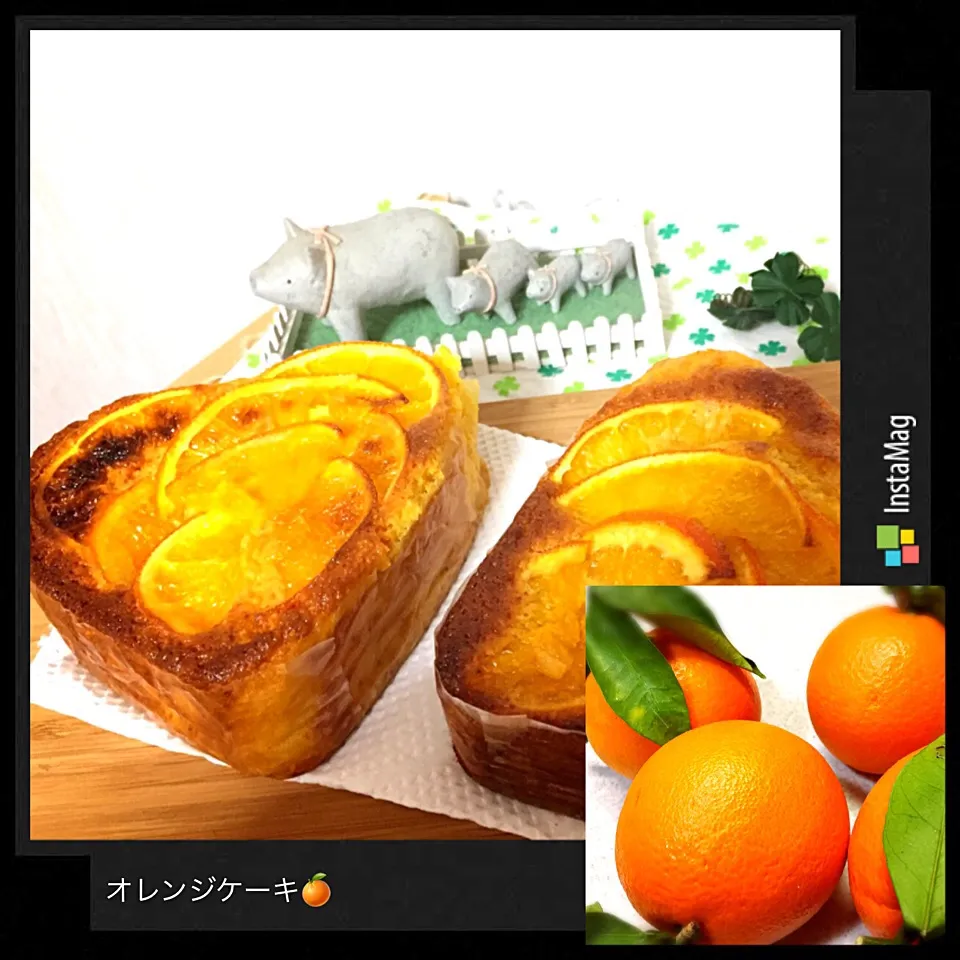 オレンジケーキ🍊|ゆりゆりさん