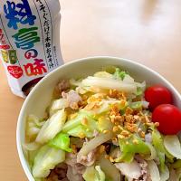 豚丼(*´∀｀*)