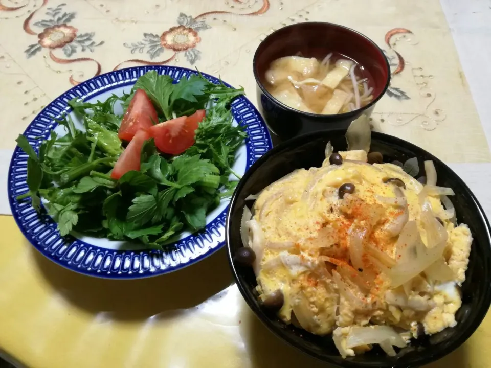 晩ごはん
  - かきあげ丼
  - 水菜、セロリ、トマトのサラダ
  - あげ、もやし、豆腐お味噌汁|korinoさん