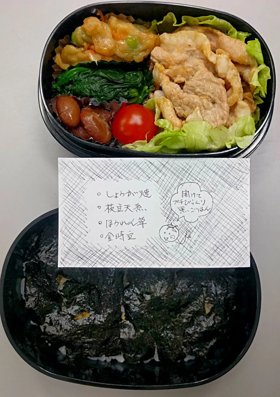 Snapdishの料理写真:4月3日のサラメシは豚しょうが焼き弁当😋|ニッパーさん