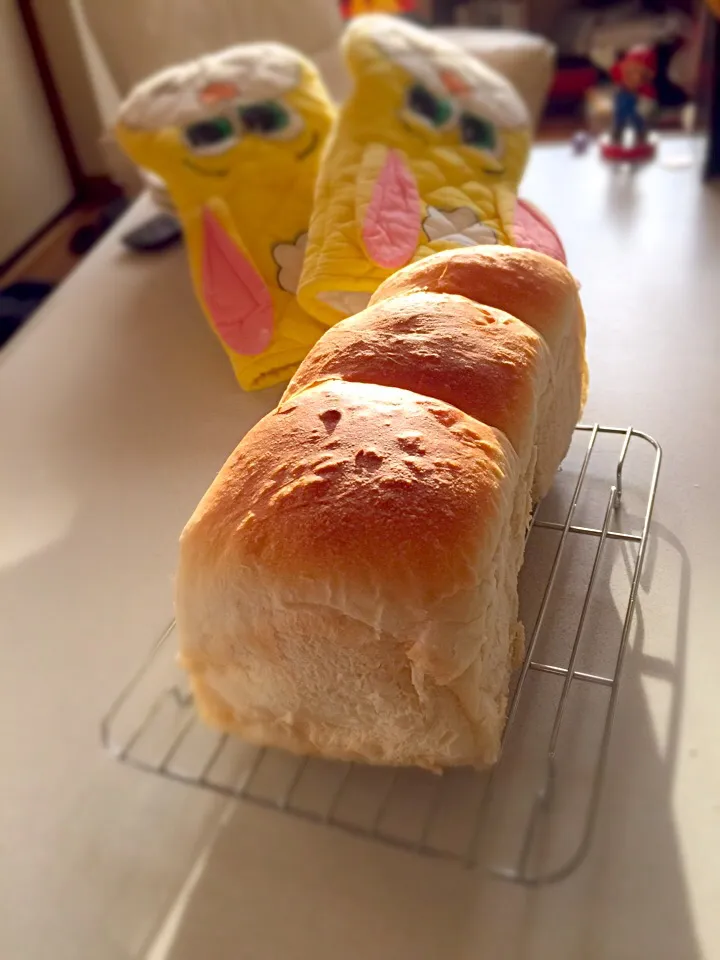 超お久しぶり、食パン！|渡邉愛子さん