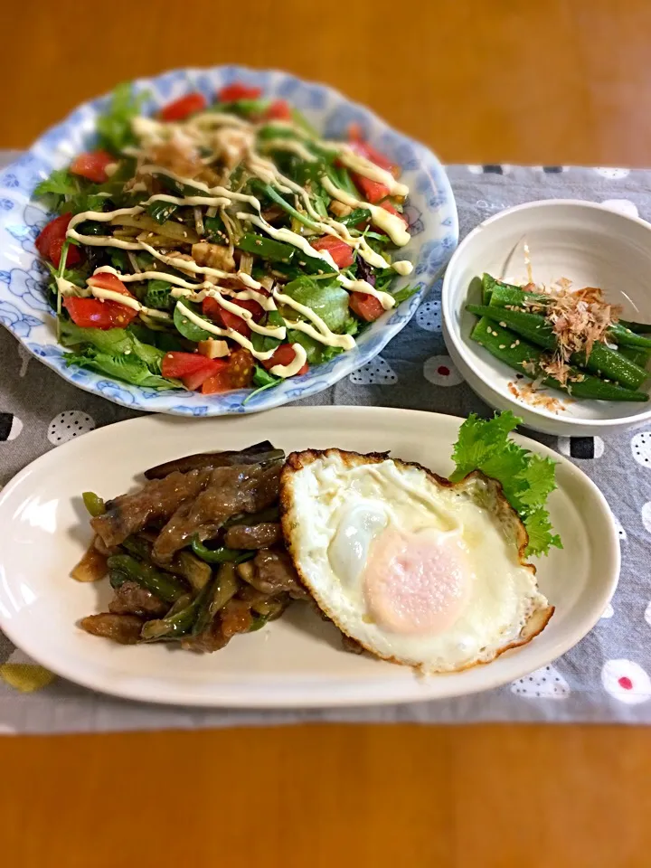 旦那ちゃん夕飯置きメシ🎶
チンジャオロース 目玉焼き付き
サラダラーメン(葱チャーシューのっけ)
オクラ浅漬け|BooBooさん