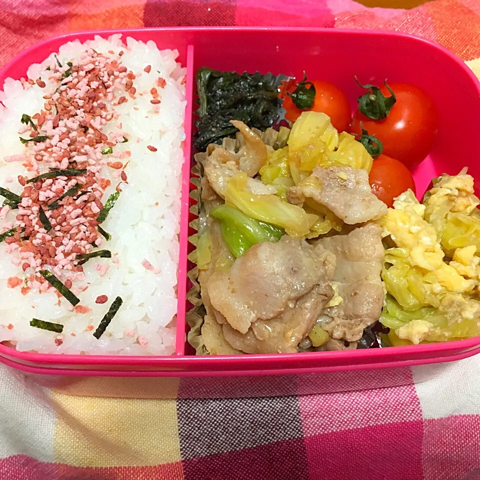 ほうれんそうの胡麻和え、豚バラとキャベツの味噌炒め、キャベツと卵中華、ミニトマト #お弁当|kiyamakamoさん