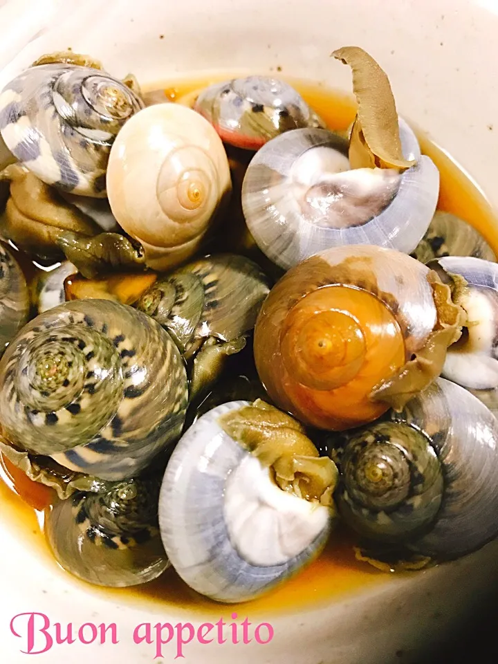 ナガラミだし醤油煮🐚|このはさん