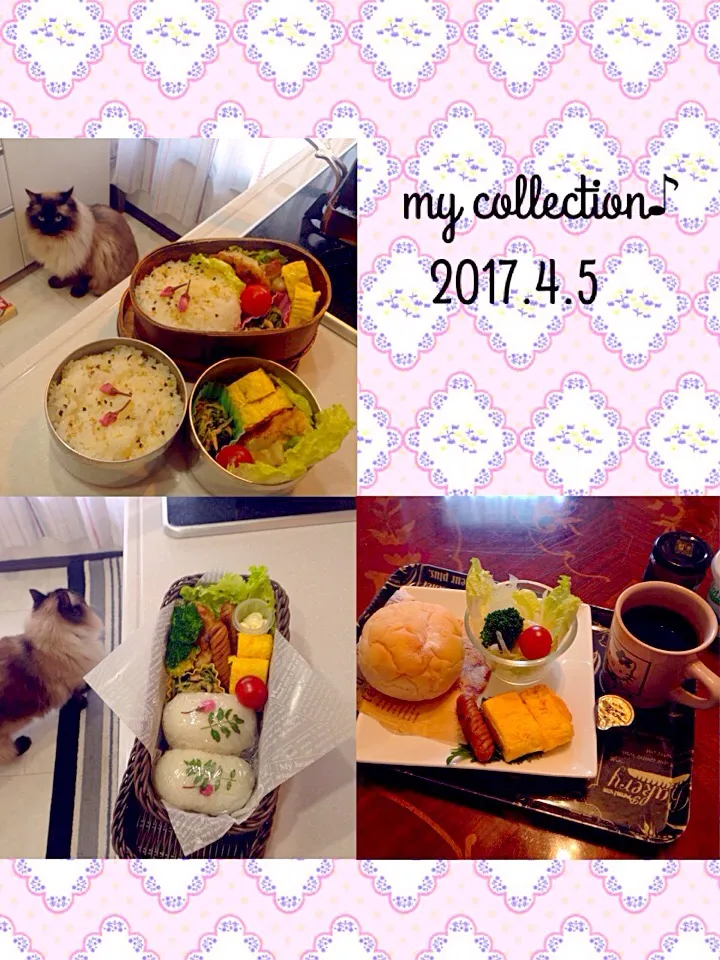 Snapdishの料理写真:今日のお弁当と朝ごはん(๑´ڡ`๑)|ちゃたままさん