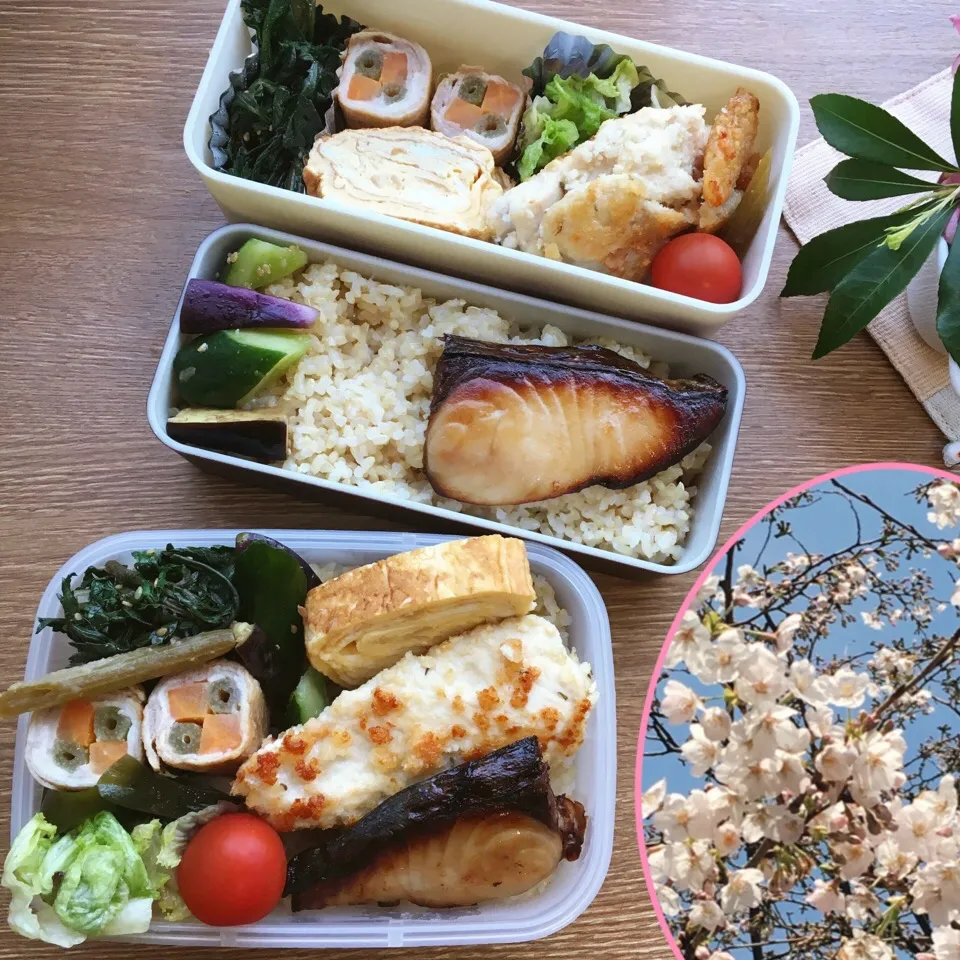 Snapdishの料理写真:4/5 お花見弁当|もっちさん