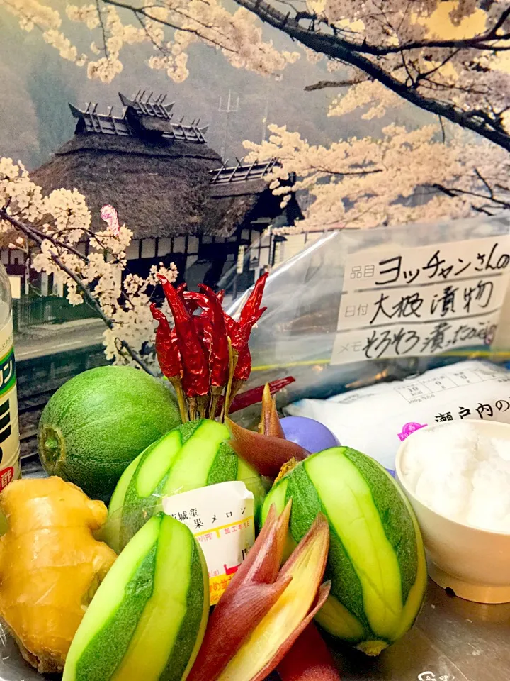 ヨッチャンさんの大根漬物そろそろ漬かったかな😊
茨城産  摘果 メロン🍈バージョン🍈|シュトママさん