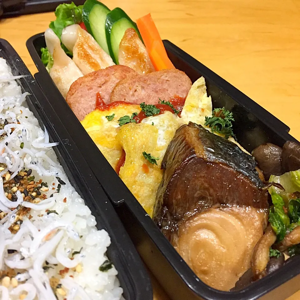 Snapdishの料理写真:今日の親父弁当！|沖縄「ピロピロ」ライフさん