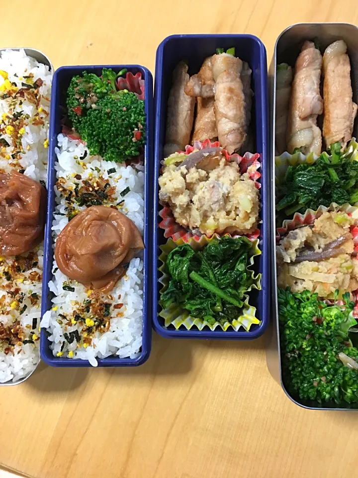 Snapdishの料理写真:アスパラ肉巻き 大根菜ピリ辛炒め 卯の花煮 ブロッコリー弁当。|Kumiko Kimuraさん