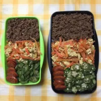 Snapdishの料理写真:三食弁当|なぁつさん