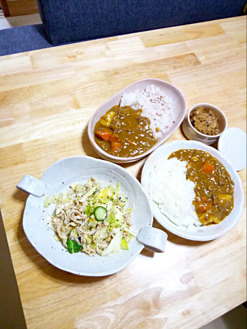 カレーライスとキャベツ＆自家製福神漬け＆鶏皮のゆずポンサラダ°ʚ(*´꒳`*)ɞ°.|さくたえさん