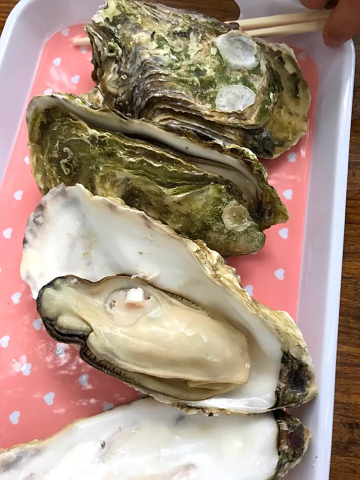 Snapdishの料理写真:陸前高田市の蒸し牡蠣
(川崎フロンターレ フロンパーク)|Takayukiさん