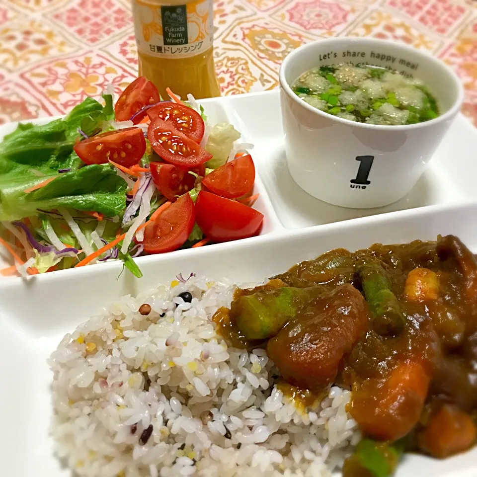 十七穀米と野菜カレー&野菜サラダwith甘夏のドレッシング福田農場|venerdiさん