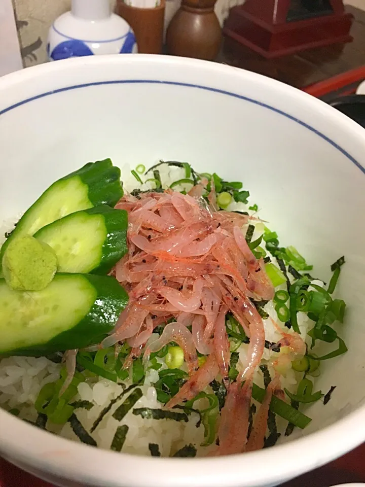 生桜エビ丼
ほんとは生は秋がうまいらしい😋|まじぱんさん