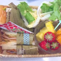 サンドイッチ弁当🌸 #サンドイッチ #お花見 #ハムカツサンド #ホットドッグ #フルーツ #タマゴサンド|みぃさん