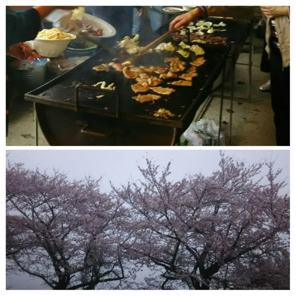 お花見バーベキュー❗|あらいぐまのしっぽさん