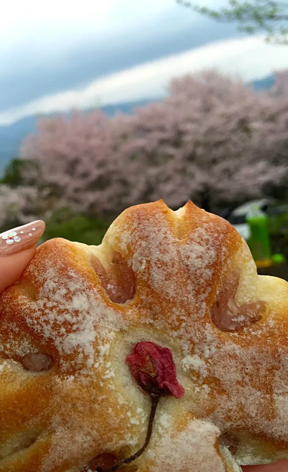 桜🌸と桜餡ぱん🌸|keikoさん