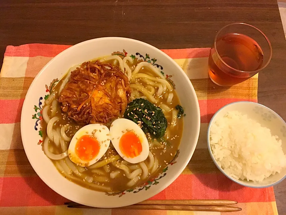 スパイシーカレーうどんとゴハン|ゴンさん