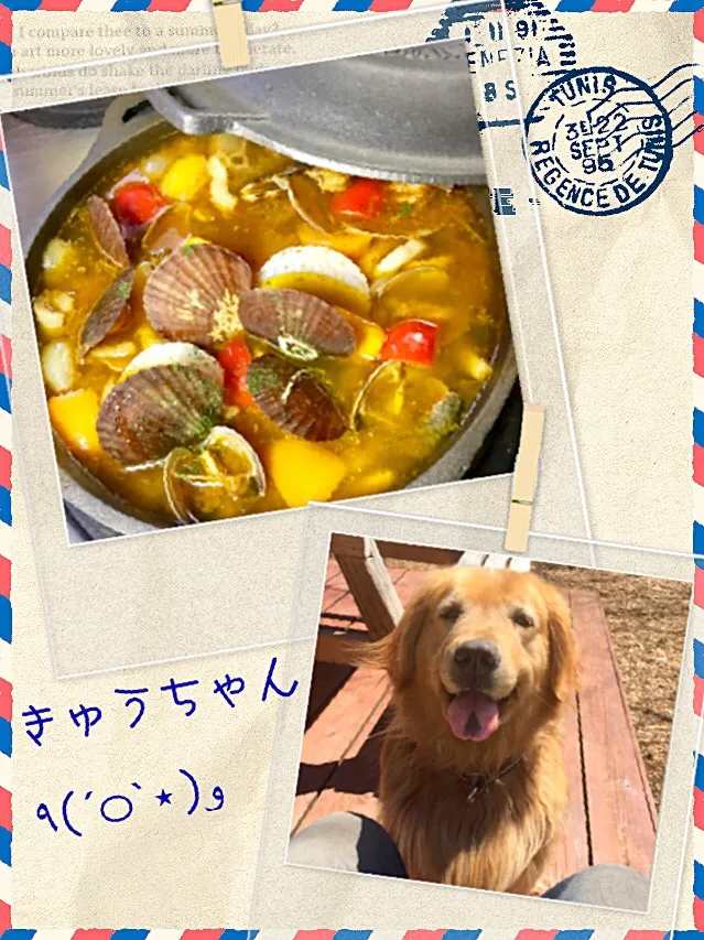 ブイヤベース🥘
鮭とイカ🦑ホタテ、エビ🦐とパプリカや新玉ねぎを加えてサフラン風味に。
地元白ワインをたっぷり🍾使いました〜|きゅうちゃんさん