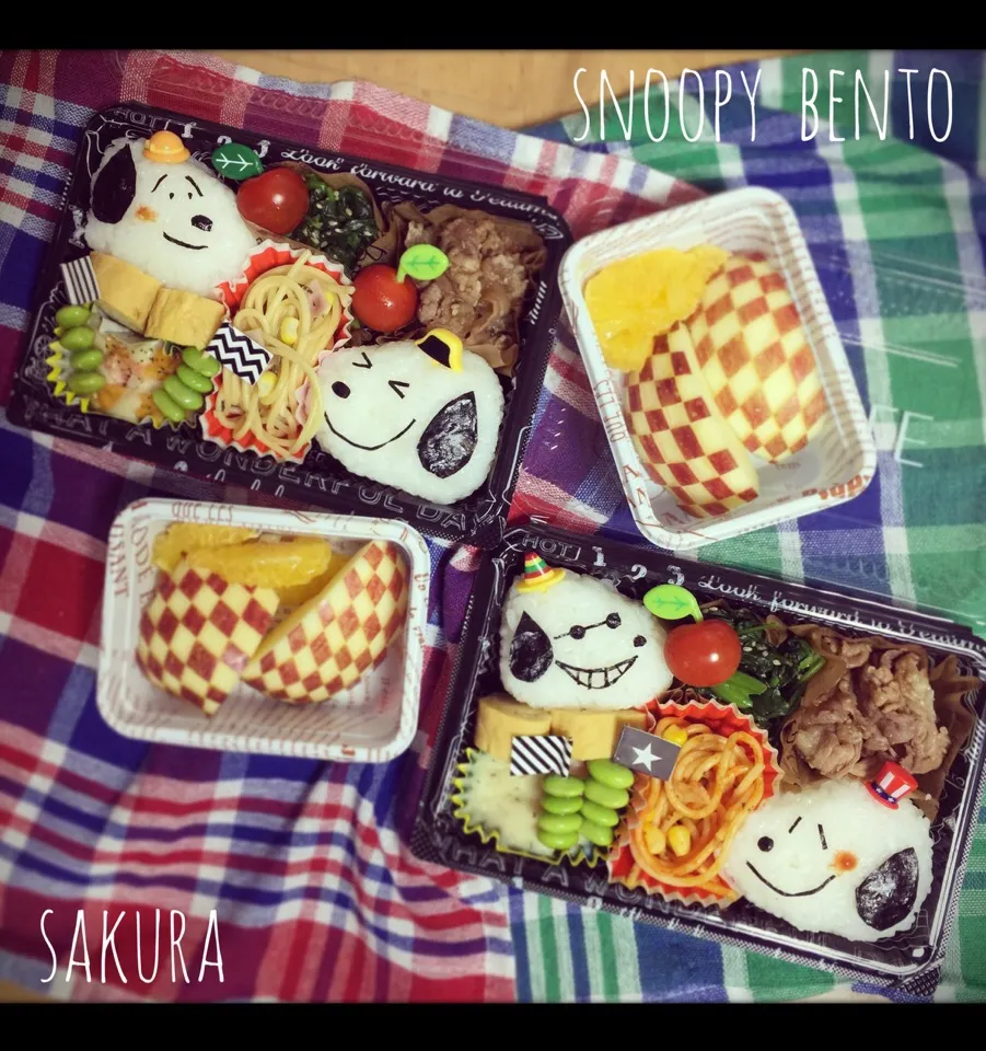 小学生男子弁当👦👦スヌーピー弁当
(･´`(●)*|さくちんさん