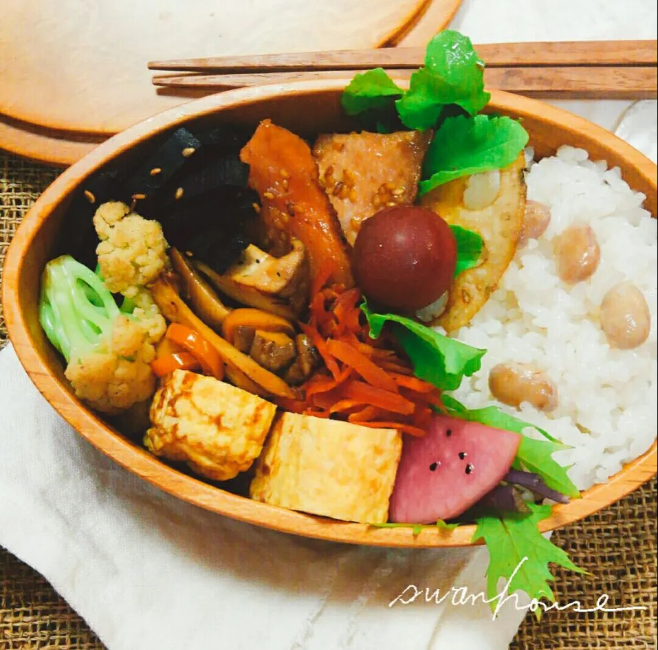 2017年4月10日 今日のお弁当|スワンハウスさん