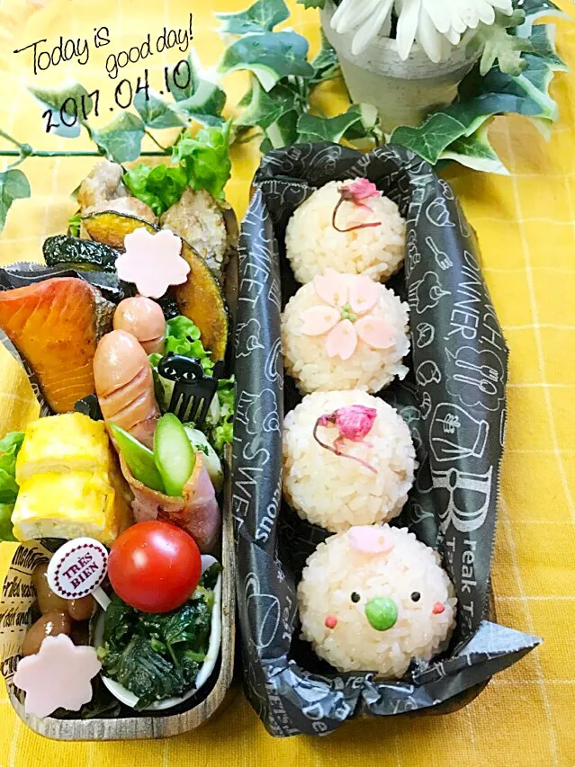 今日もお花見弁当🌸|kiyomi sakuraiさん