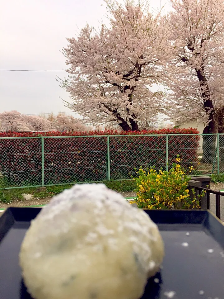 よもぎ摘んで、お餅に混ぜたけど
草餅になって無いね〜
一応苺大福🍓
#|ミカさん