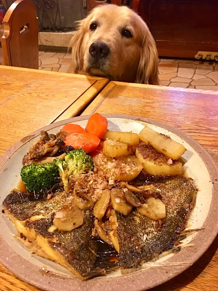 カレイの煮付け🌸大根と人参しめじも加えて生姜であっさりと…
🐶きゅうちゃん🤤|きゅうちゃんさん