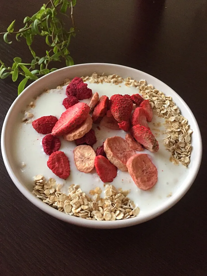 Snapdishの料理写真:Mňám... dnes snídaně místo večeře 😂 když je chuť.. nízkotučný kefír + vločky + sušené maliny #raspberry #oat #milk|LucieFoodさん