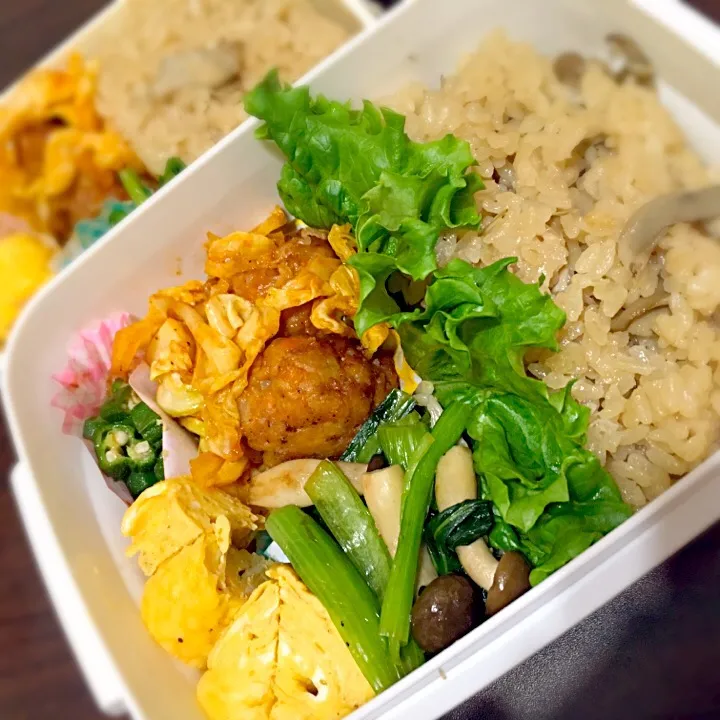 Snapdishの料理写真:お弁当
舞茸ごはん/肉団子の甘酢炒め/シメジと小松菜の炒め物/卵焼き/オクラのおひたし|ゆうかさん